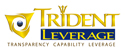 Our Website